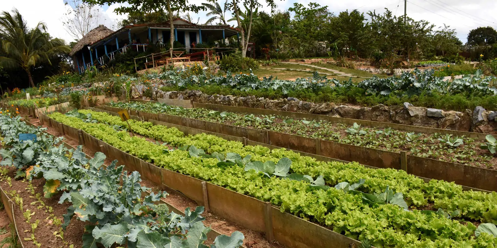 Finca Agroecologica El Paraíso