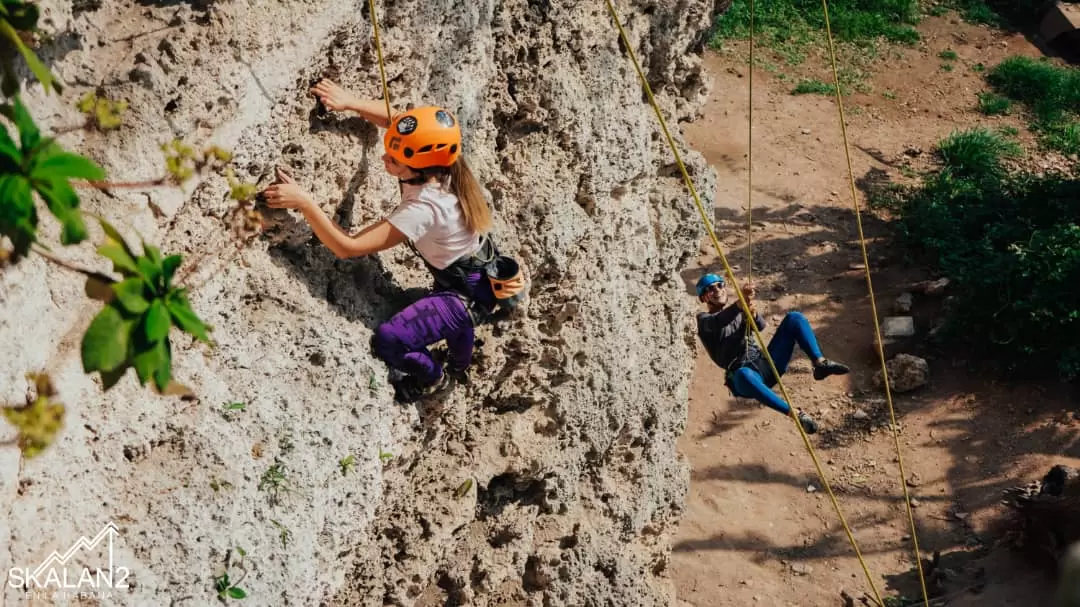 Aventura Vertical en el Bosque